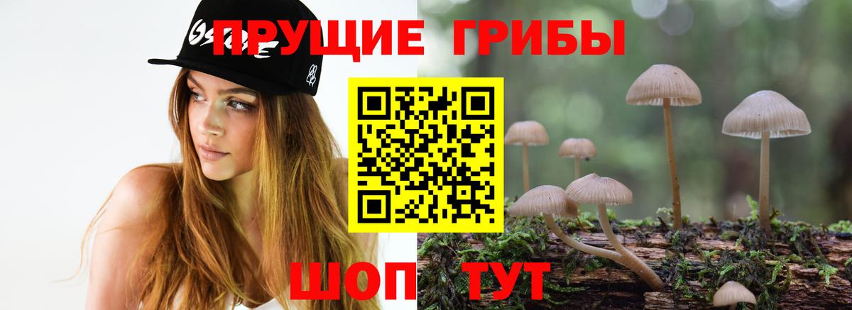 Галлюциногенные грибы прущие грибы  Вход с VPN  наркота  Чернушка  Псилоцибиновые грибы MAGIC MUSHROOMS 